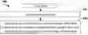 Fig. 01 - METHOD AND DEVICE USED IN COMMUNICATION NODE FOR WIRELESS COMMUNICATION