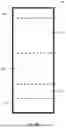 Fig. 06 - MULTILAYER LATTICE PROTECTIVE EQUIPMENT