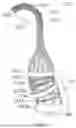Fig. 15 - GUIDABLE AND GROWABLE INSTRUMENT AND SURGICAL ROBOT SYSTEM