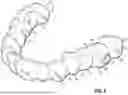 Fig. 05 - ORTHODONTIC APPLIANCES, ATTACHMENTS, SYSTEMS INCLUDING APPLIANCES AND ATTACHMENTS, AND METHODS FOR ORTHODONTIC APPLIANCE AND ATTACHMENT FABRICATION