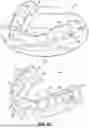 Fig. 19 - ORTHODONTIC APPLIANCES, ATTACHMENTS, SYSTEMS INCLUDING APPLIANCES AND ATTACHMENTS, AND METHODS FOR ORTHODONTIC APPLIANCE AND ATTACHMENT FABRICATION