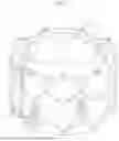Fig. 08 - Covering and assembly method for transcatheter valve