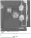 Fig. 18 - MONOLAYER CELL PATCH IN AN EXTRACELLULAR MATRIX SCAFFOLD
