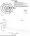 Fig. 09 - ADAPTIVE MULTIVECTOR ILLUMINATION DELIVERY SYSTEM