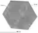 Fig. 126 - ADAPTIVE MULTIVECTOR ILLUMINATION DELIVERY SYSTEM