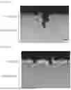 Fig. 02 - MICROCRACK-REDUCED, HOT PRESS-FORMED ARTICLE, AND METHOD FOR MANUFACTURING SAME