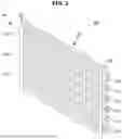 Fig. 03 - APPARATUS AND METHOD FOR MANUFACTURING HEAT EXCHANGER