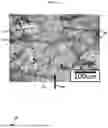 Fig. 04 - Additive manufacturing with nanofunctionalized precursors