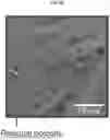 Fig. 07 - Additive manufacturing with nanofunctionalized precursors