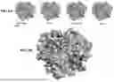 Fig. 04 - Desmoglein 2 (DSG2) Binding Proteins and Uses Therefor