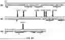 Fig. 10 - Desmoglein 2 (DSG2) Binding Proteins and Uses Therefor