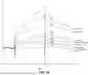 Fig. 13 - Desmoglein 2 (DSG2) Binding Proteins and Uses Therefor