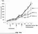 Fig. 20 - Desmoglein 2 (DSG2) Binding Proteins and Uses Therefor
