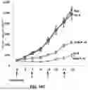 Fig. 22 - Desmoglein 2 (DSG2) Binding Proteins and Uses Therefor