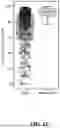 Fig. 32 - Methods and Systems for Guide RNA Design and Use