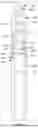 Fig. 19 - Methods and kits for assembling a flow cage assembly for downhole reciprocating pump