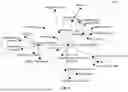Fig. 06 - System and Method for Creating Electronic Care Plans Through Graph Projections on Curated Medical Knowledge
