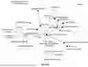Fig. 74 - System and Method for Creating Electronic Care Plans Through Graph Projections on Curated Medical Knowledge