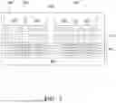 Fig. 09 - MULTIPLE DIE STRUCTURE AND METHOD OF FABRICATING THEREOF