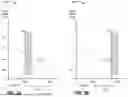 Fig. 04 - ADAPTIVE OUT-OF-BAND INTERFERENCE AVOIDANCE