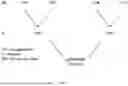 Fig. 02 - SPLIT-INTEIN METHODS AND COMPOSITIONS FOR GENERATION OF SINGLE SEX OFFSPRING