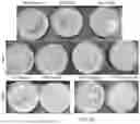 Fig. 22 - Glycelles: Methods and Compositions For Casein Micelles Comprising Non-Bioactive Hydrophilic Compounds