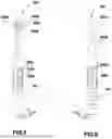 Fig. 05 - NOVEL ELECTRIC TOOTHBRUSH SYSTEM