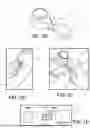 Fig. 02 - METHODS FOR DELIVERY OF BODILY FLUIDS ONTO A FIBROUS SUBSTRATE