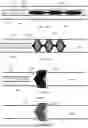 Fig. 17 - LONGITUDINALLY COMPRESSIBLE VASCULAR OCCLUDER