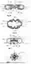 Fig. 02 - SURGICAL CLIP AND DEPLOYMENT SYSTEM