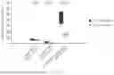 Fig. 72 - DEVICE FOR MICROLITER-SCALE LYMPHATIC DELIVERY OF CORONAVIRUS VACCINES AND METHODS OF USE THEREOF