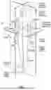 Fig. 02 - SYSTEM AND METHOD USING AUGMENTED REALITY WITH SHAPE ALIGNMENT FOR MEDICAL DEVICE PLACEMENT