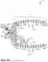 Fig. 74 - SURGICAL EQUIPMENT HOLDER