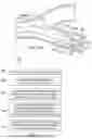 Fig. 16 - SYSTEMS AND METHODS FOR TEMPERATURE CONTROL IN DELIVERY OF THERMAL LIQUID TREATMENT