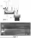 Fig. 02 - Method for obtaining a product made of titanium alloy or a titanium-aluminium intermetallic compound