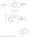 Fig. 294 - METHODS AND COMPOSITION FOR KRAS MODIFICATIONS