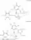 Fig. 08 - Methods of inhibiting kinases