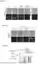 Fig. 02 - WNT SIGNALING AGONIST MOLECULES
