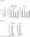 Fig. 09 - WNT SIGNALING AGONIST MOLECULES