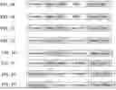 Fig. 02 - VECTOR CONSTRUCTS FOR DELIVERY OF NUCLEIC ACIDS ENCODING THERAPEUTIC ANTI-TNF ANTIBODIES AND METHODS OF USING THE SAME