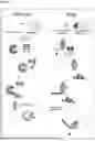Fig. 02 - CHIMERIC NANOBODY COMPOSITIONS AND METHODS OF TREATMENT THEREOF