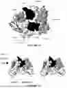 Fig. 02 - ASSESSMENT OF CEACAM1 EXPRESSION ON TUMOR INFILTRATING LYMPHOCYTES