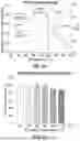 Fig. 07 - SELF-SENSING AND SELF-HEALING OF STRUCTURAL POLYMERS AND COMPOSITES VIA INTEGRATION OF MICROVASCULATURE AND OPTICAL FIBERS