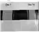 Fig. 03 - ACRYLIC MODIFIED POLYMERIC OPACIFIERS FOR USE IN ORGANIC MEDIA