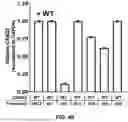 Fig. 167 - Suppression-Replacement Gene Therapy
