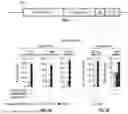 Fig. 02 - CAS-READY MOUSE EMBRYONIC STEM CELLS AND MICE AND USES THEREOF