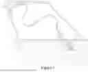 Fig. 02 - Zig zag pattern swimming pool cleaner