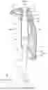 Fig. 08 - DOOR LOCK ASSEMBLY