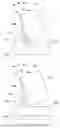 Fig. 11 - Cutting Elements with Ridged and Inclined Cutting Face