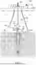 Fig. 02 - System and method for hanger and packoff lock ring actuation